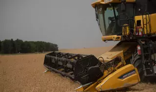 Un año de malas cosechas de cereales en Zamora