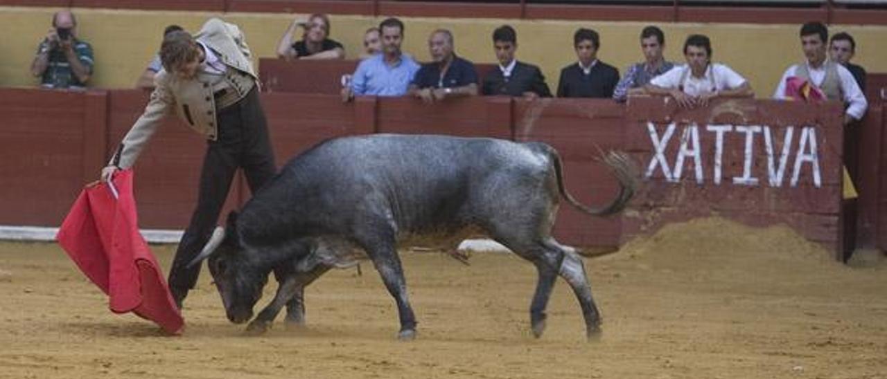 Triunfal novillada de la Escuela en Xàtiva