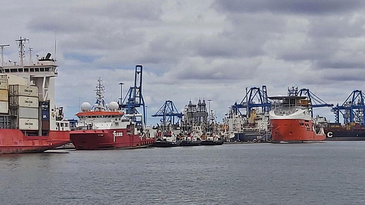 Hallan unos 1.200 kilos de cocaína en un barco de millo en el Puerto de la Luz