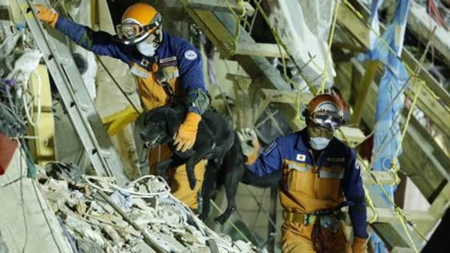 Brigadistes japonesos col·laborant en les tasques de rescat.