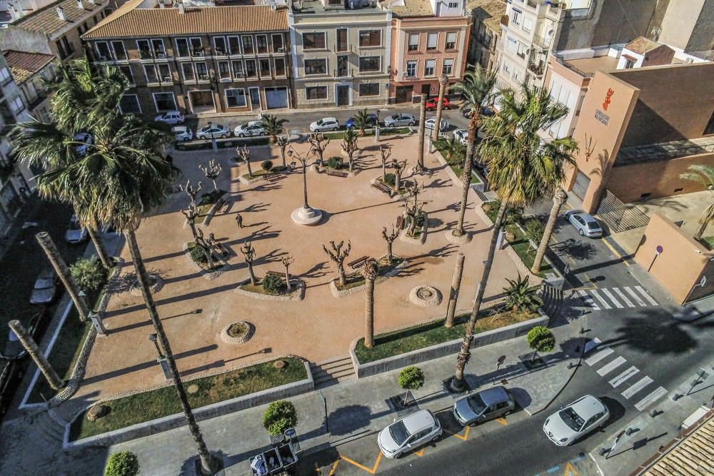 El área de Infraestructuras del Ayuntamiento de Orihuela retira desde hoy 23 troncos y tocones de las palmeras de la plaza de Santa Lucía. Un auténtico "monumento al picudo" en los últimos meses. Toda