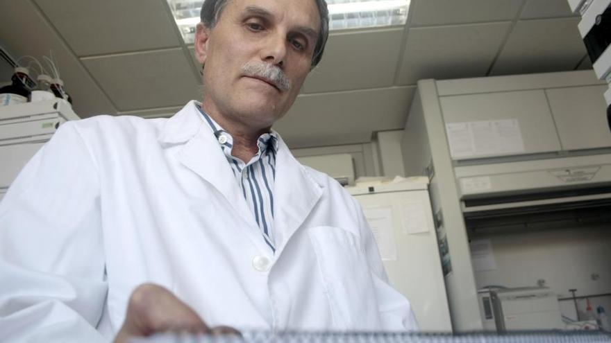 Tomás Barberán, trabajando en su laboratorio del Cebas.