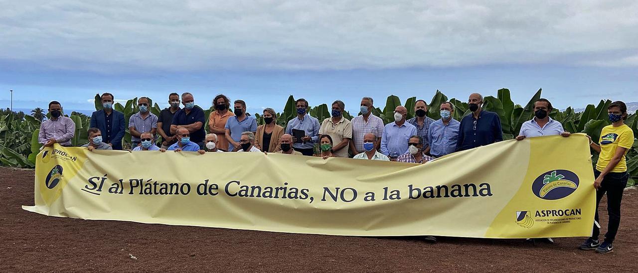 La consejera Alicia Vanoostende y representantes del sector platanero posan, ayer, con el lema del manifiesto en apoyo al cultivo. | | EL DÍA