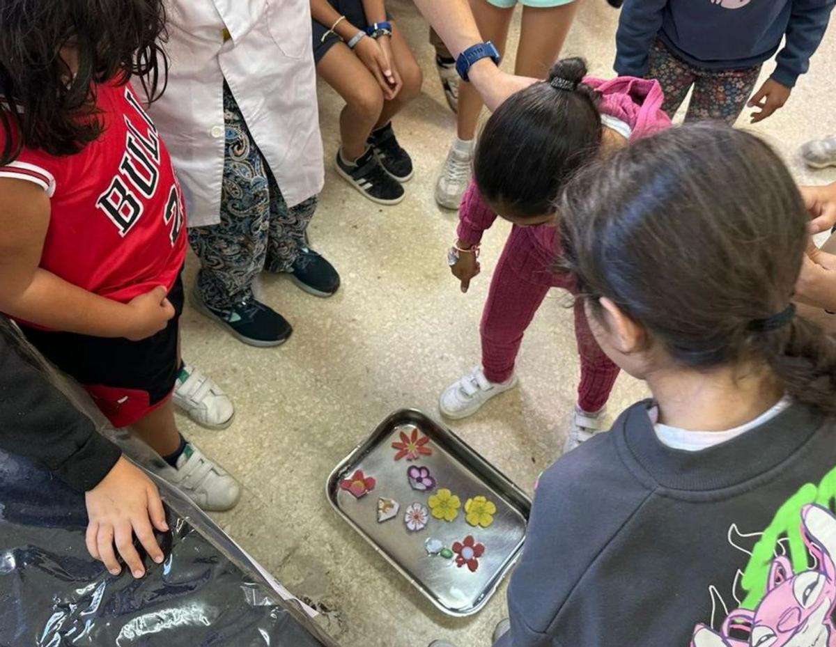 Niños interactúan con una de las propuestas. |  FdV