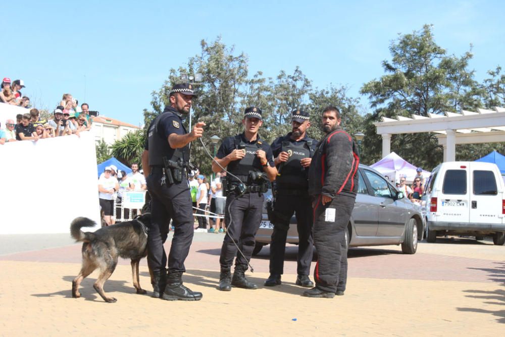 El Parque Huelin ha acogido la primera edición de un evento destinado a las mascotas y a sus dueños, con carreras en diversas categorías, actividades gratuitas y numerosos stands