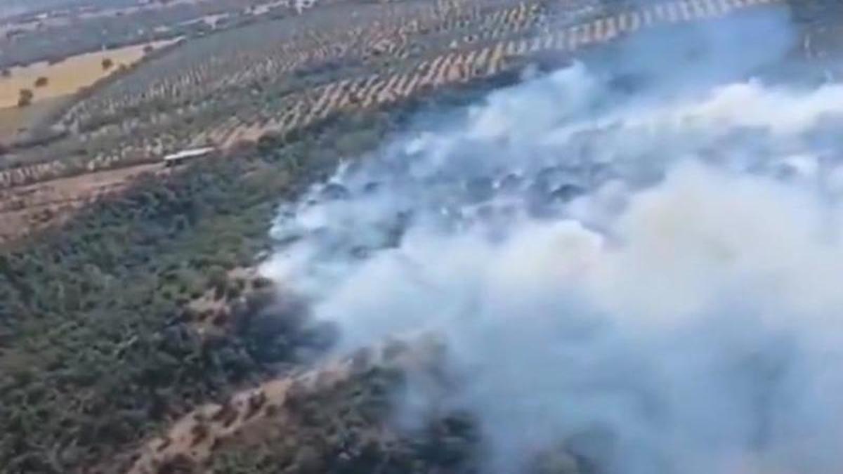 Incendio en Gerena (Sevilla)