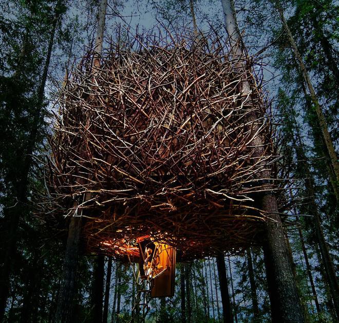 Treehotel, Hoteles Colgados