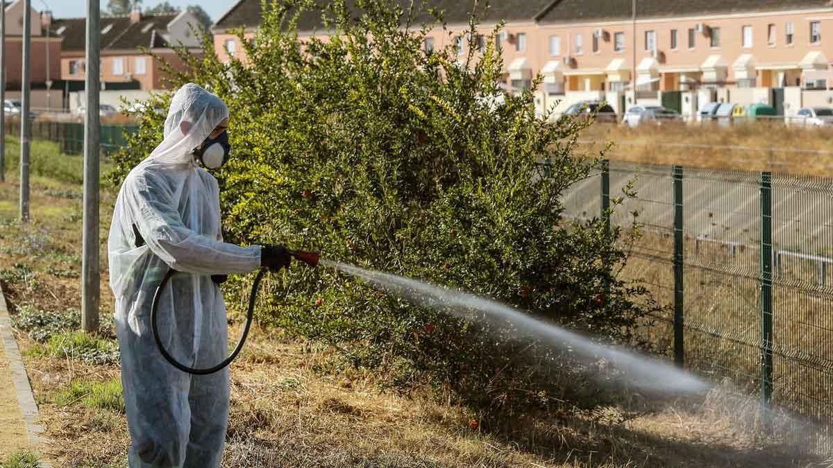 Coria del Río fumiga zonas verdes y parques para luchar contra virus del Nilo