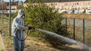 Coria del Río fumiga zonas verdes y parques para luchar contra virus del Nilo.