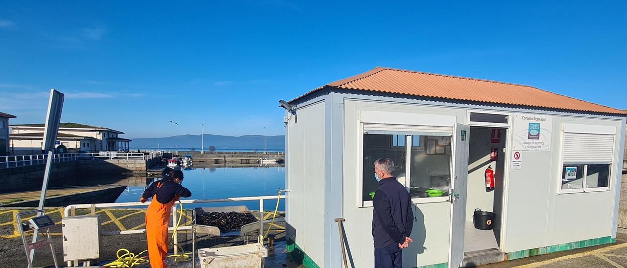 Un punto de control de calidad de Mexillón de Galicia, en el muelle de Vilaxoán.