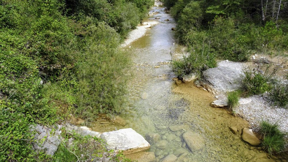 El riu Aigua d'Ora net i transparent.