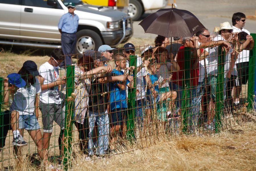 Fiestas en Zamora: Encierro en Venialbo