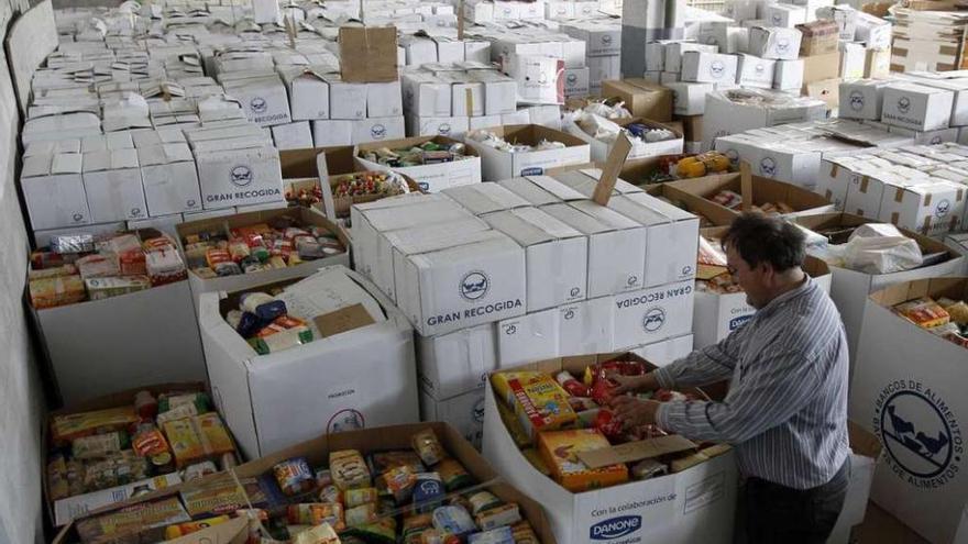 Un voluntario clasifica productos de la &#039;Gran Recogida&#039; en el almacén de un banco de alimentos de Galicia. josé lores