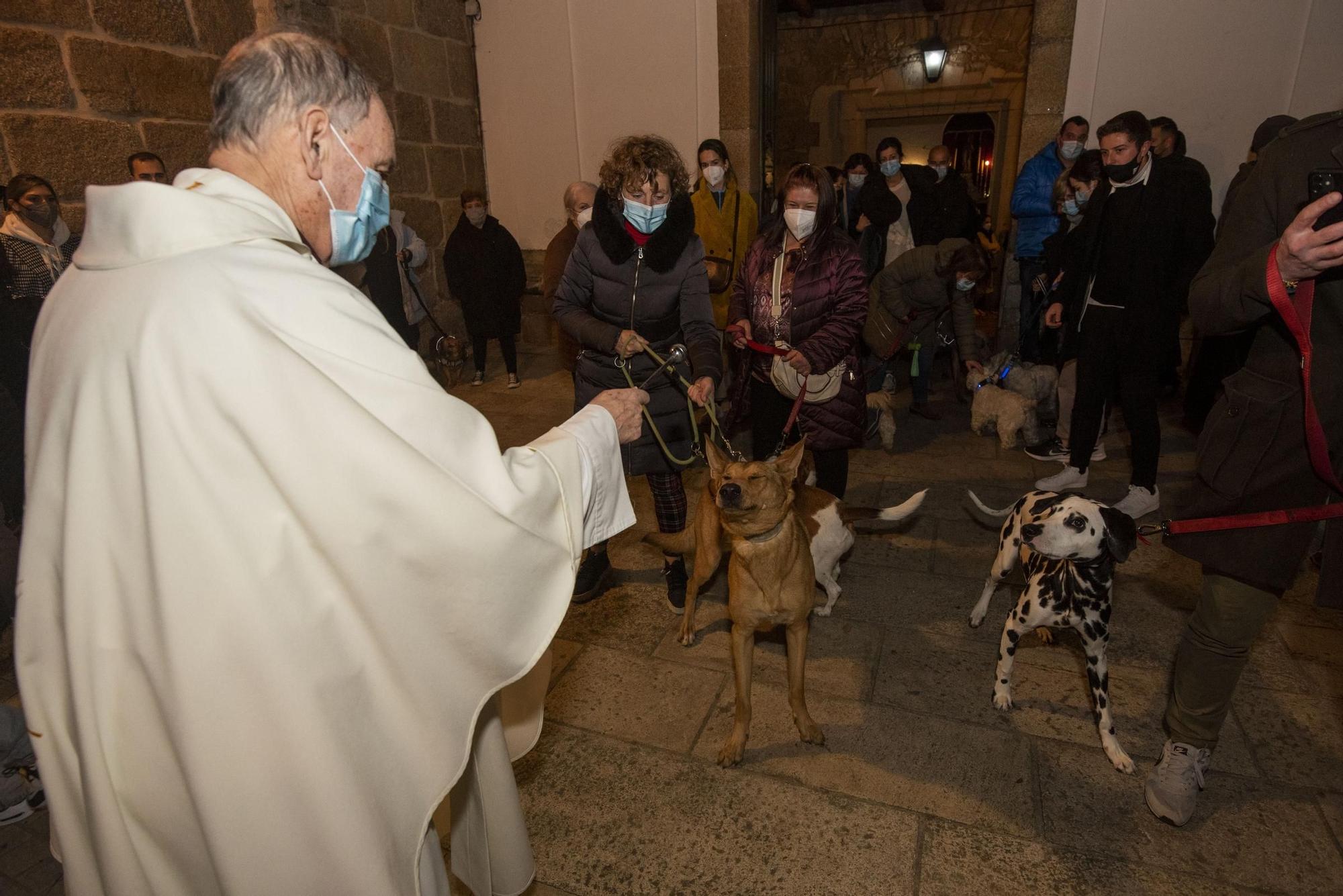 Bendición de mascotas en A Coruña por la festividad de San Antonio Abad