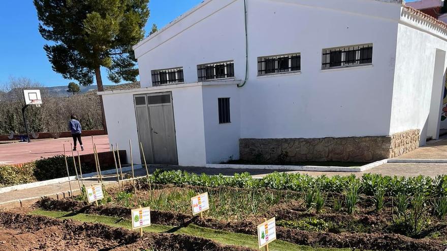 La llegada de cinco niñas ucranianas a Zarra permitirá mantener abierto el colegio el próximo curso