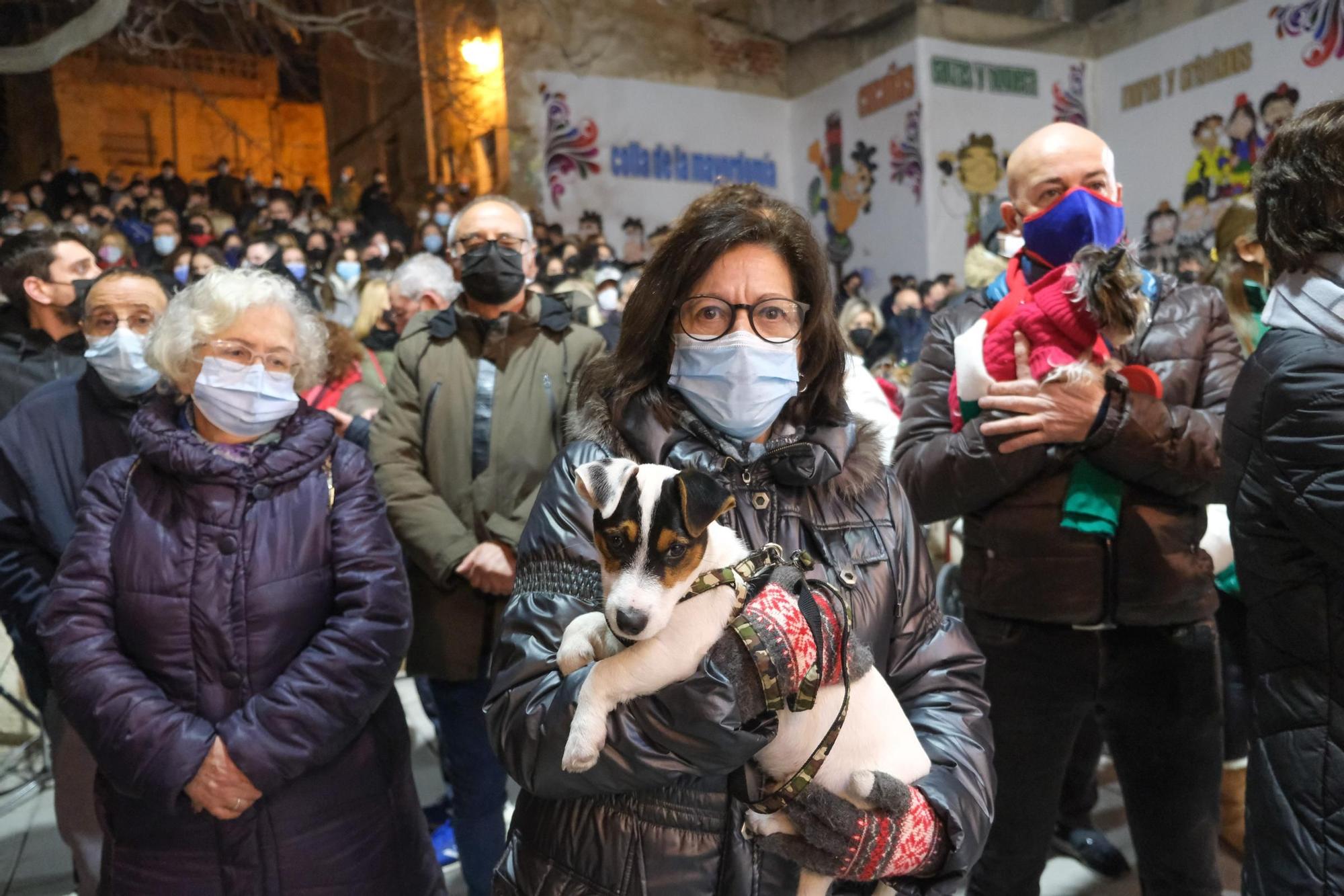 Los eldenses festejan a San Antón, patrón de los Moros y Cristianos, con las típicas vueltas a la hoguera, la bendición de animales, las tradicionales danzas y el reparto del pan