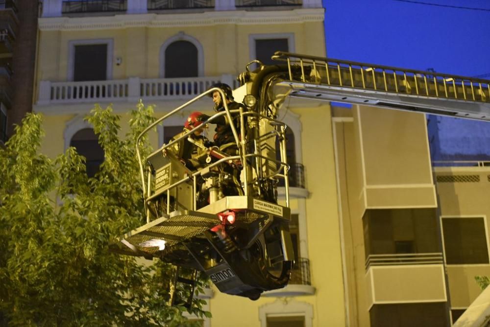 Se quiebra una rama del ficus de Santo Domingo