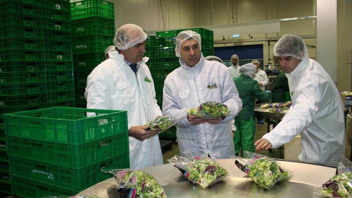 Instalaciones de una línea de ensaladas de Foodivrse, en una imagen de archivo.