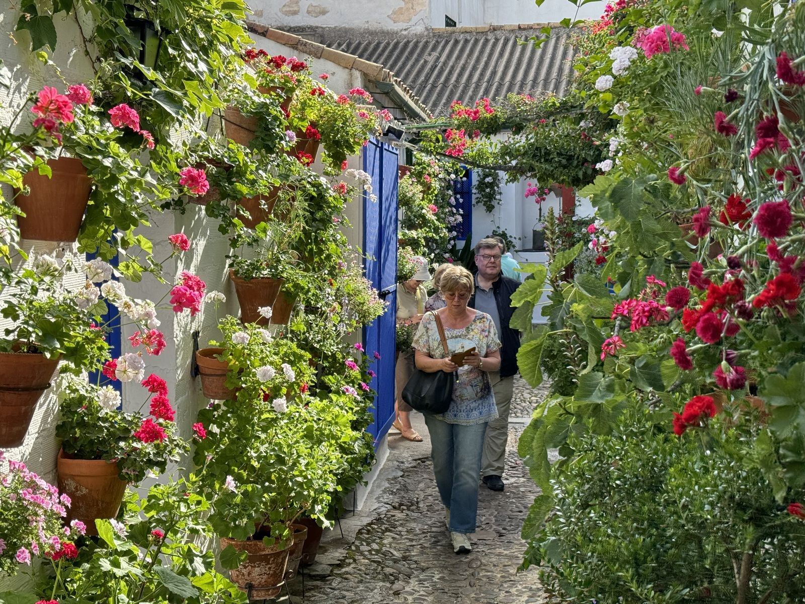 Premio modalidad "Patios singulares" : Marroquíes 6