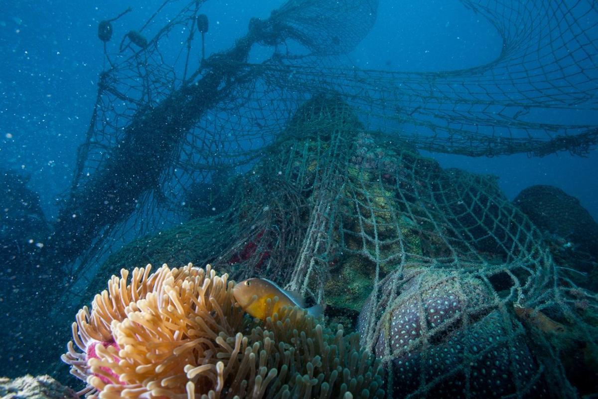 Cerca del 6 % de las redes utilizadas por pescadores quedan abandonadas.