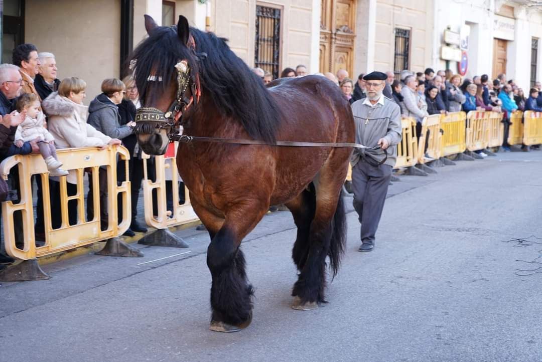 Meliana celebra Sant Antoni