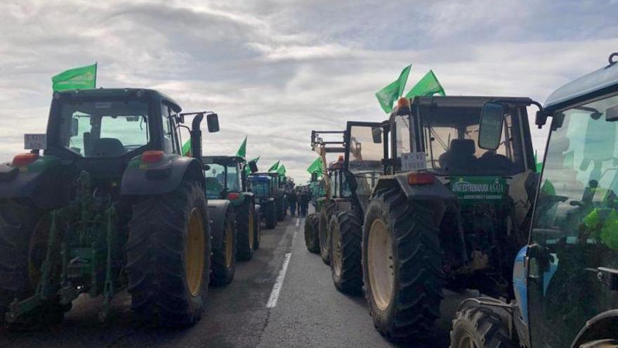 El Congreso reclama por unanimidad una reforma que garantice a los agricultores el coste de producción