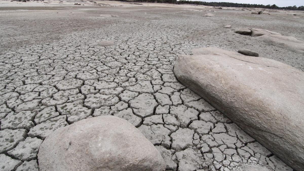 Los episodios de sequía crecen en Cáceres un 0,2 por década desde 1950.