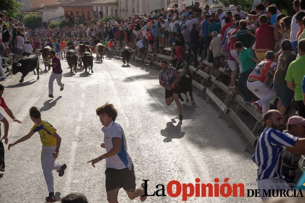 Segundo encierro de Calasparra