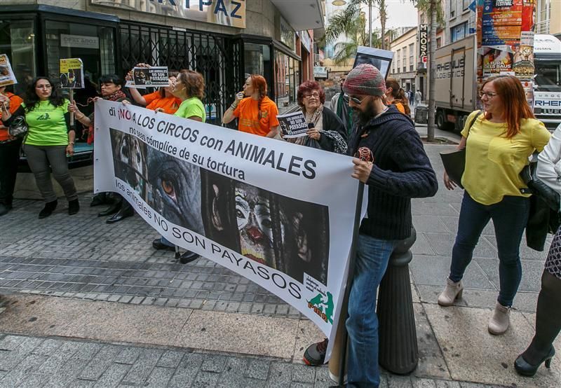 Protesta para prohibir el maltrato de animales