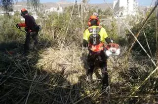 El Campello desbroza el barranco de Cala Baeza para frenar los vertidos de fecales