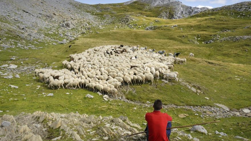 Los pastores del Alto Aragón reciben el premio Félix de Azara