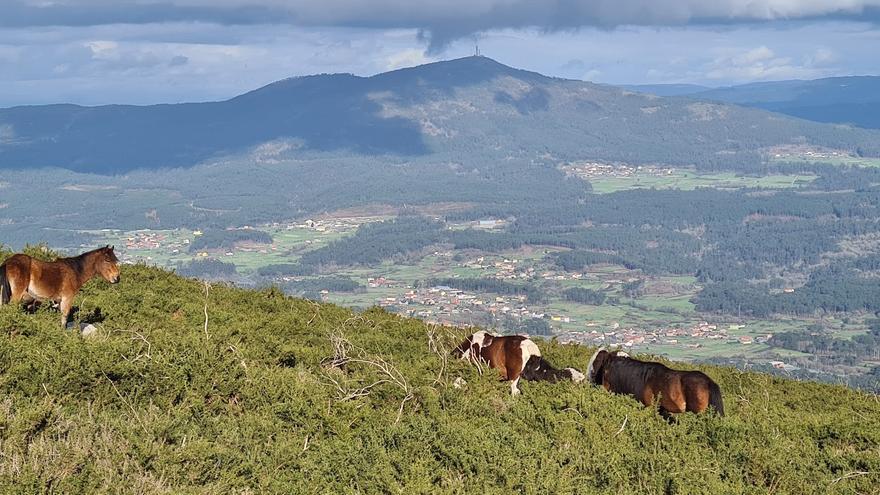 UPTA busca la reactivación económica del rural