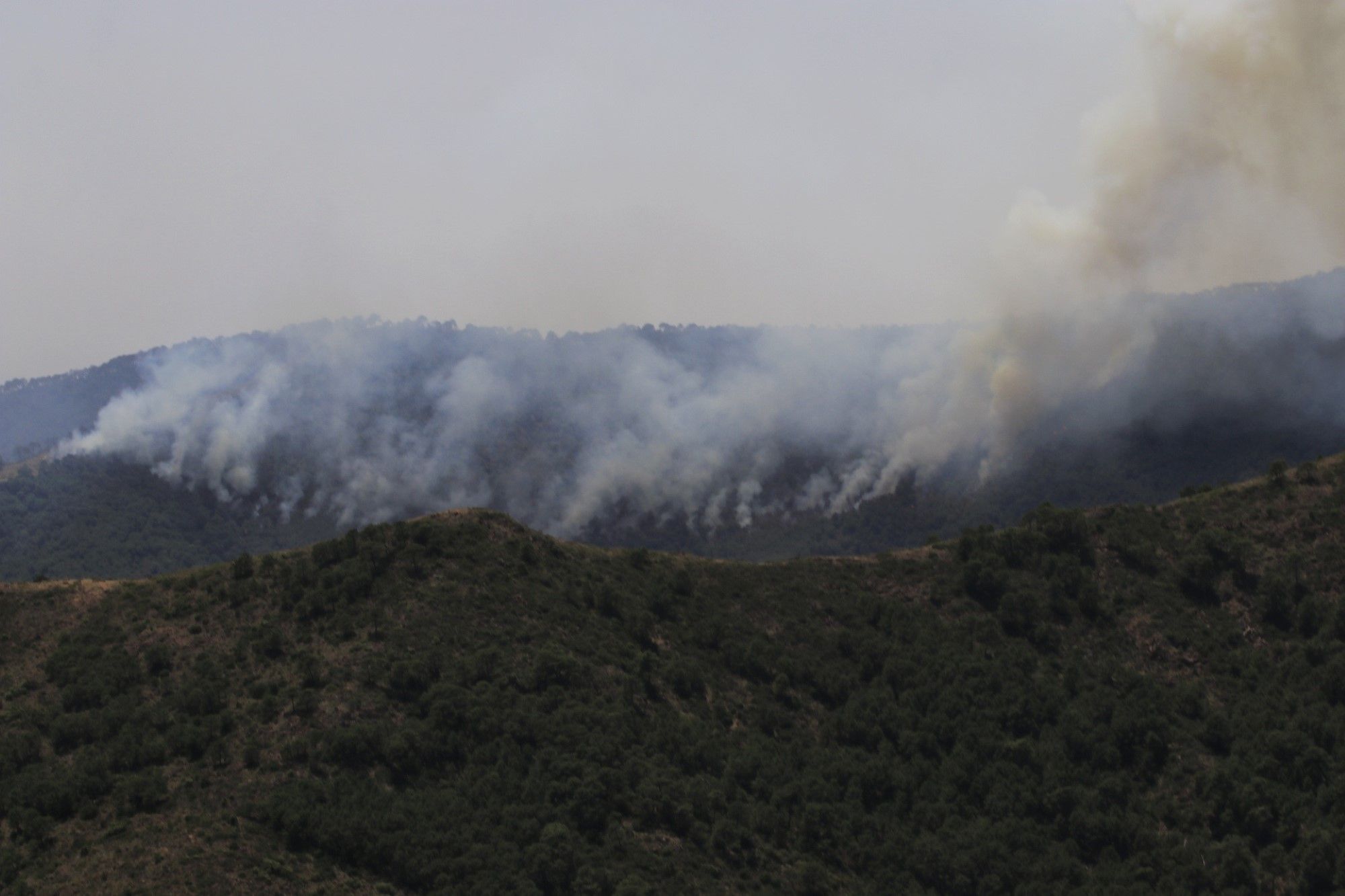 Un millar de efectivos trabajan para controlar el fuego de Sierra Bermeja