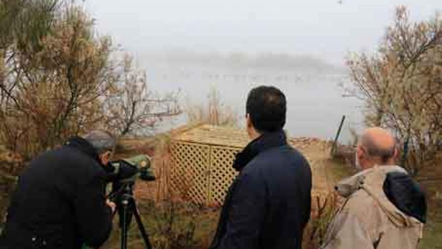 Casto López, Alberto Castro y Mariano Rodríguez observan las aves de una laguna.