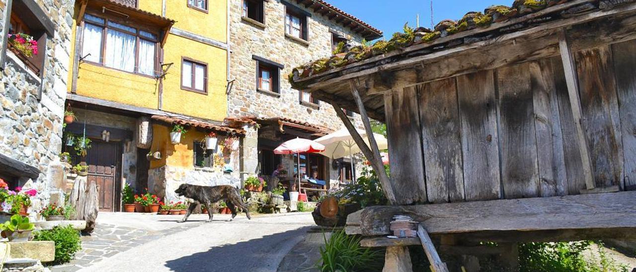 Bar, hórreo y varias casas del barrio de La Mata, en El Tozu (Caso)