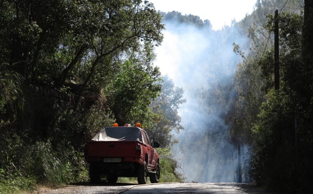 Waldbrand bei Puigpunyent