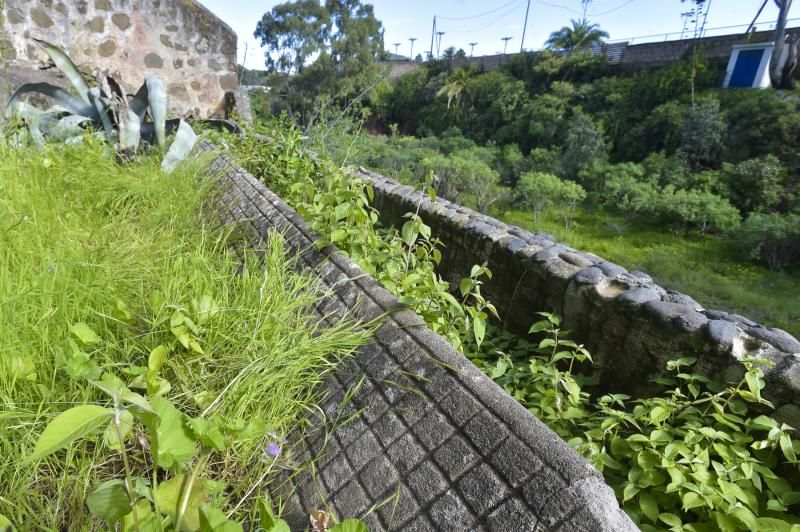 El Guiniguada, un vergel a tiro de piedra