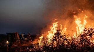 Los incendios frenan su avance tras arrasar decenas de miles de hectáreas