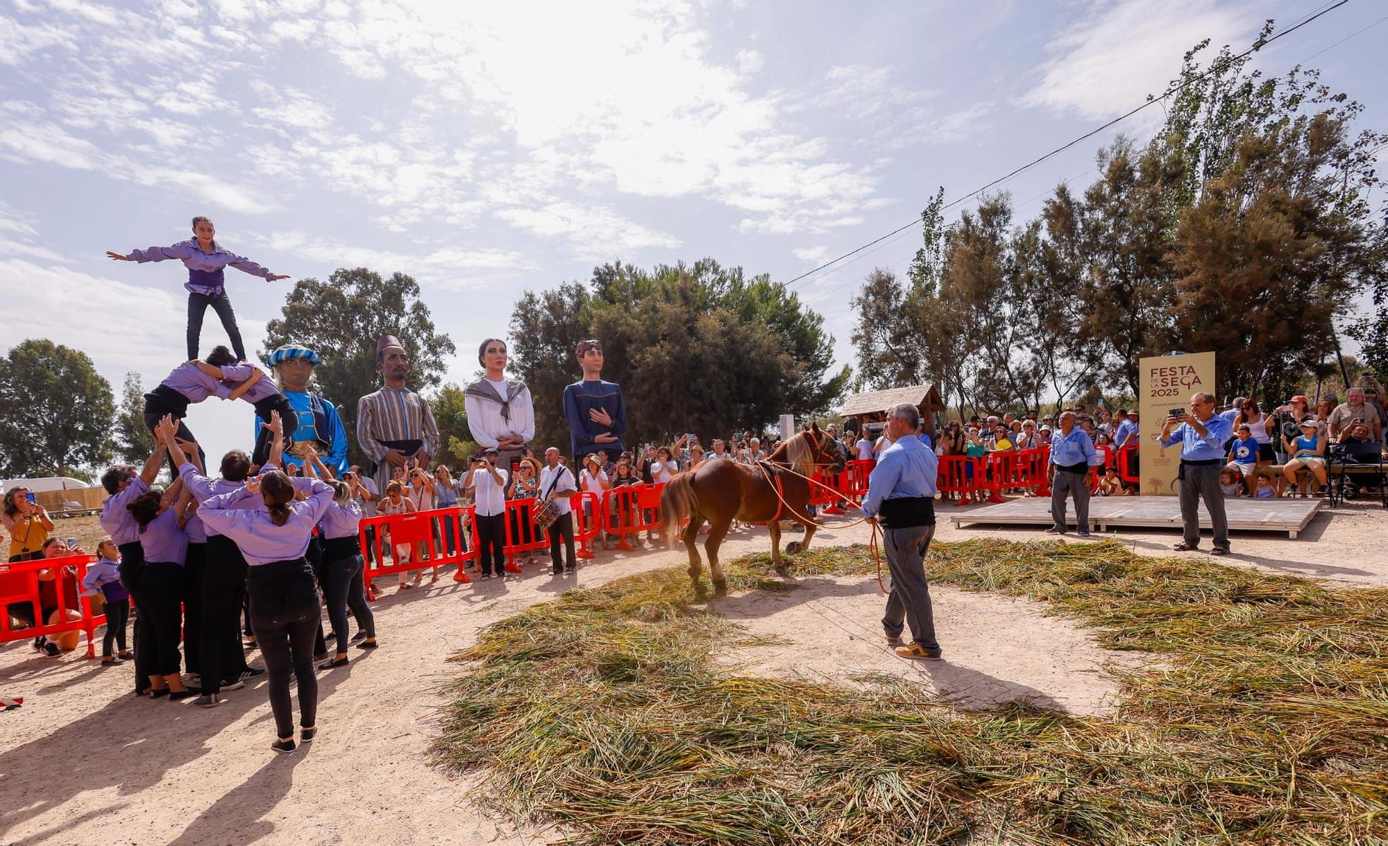 El puerto de Catarroja reúne a 5.000 personas en la Fiesta de la siega del arroz