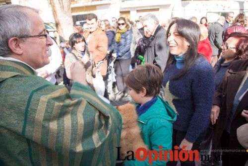 Bendición de animales en Caravaca