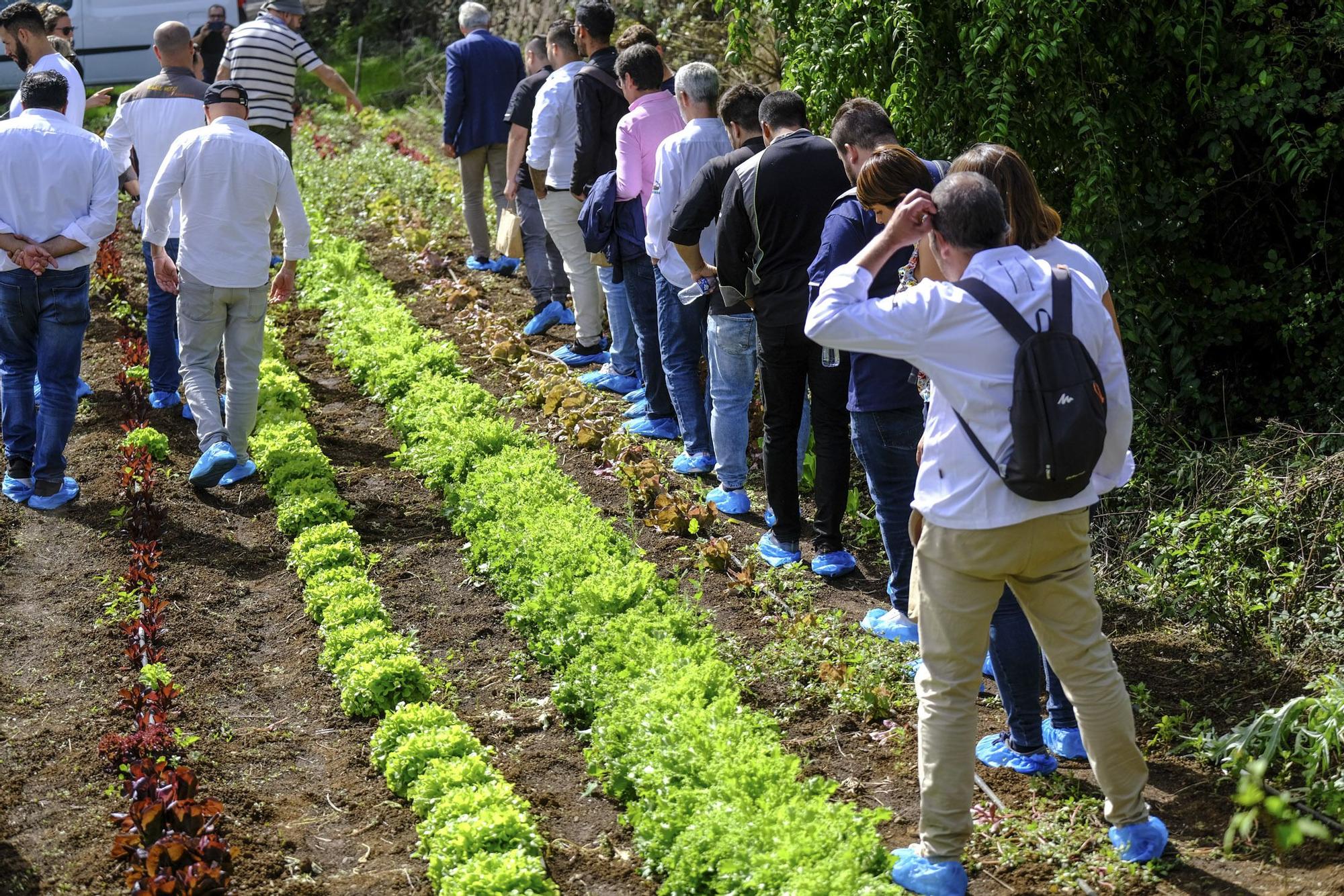 Visita a Ecohuerta Canaria