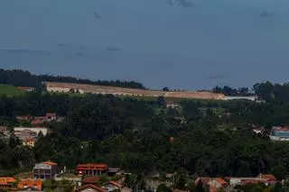 Granbazán se refuerza con cinco hectáreas más de viñedo