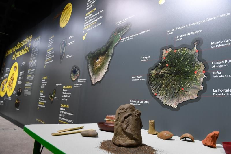 09-04-19 LAS PALMAS DE GRAN CANARIA. MUESEO DE LAS CIENCIAS. Exposición 'El legado de Atindamana?  | 09/04/2019 | Fotógrafo: Juan Carlos Castro