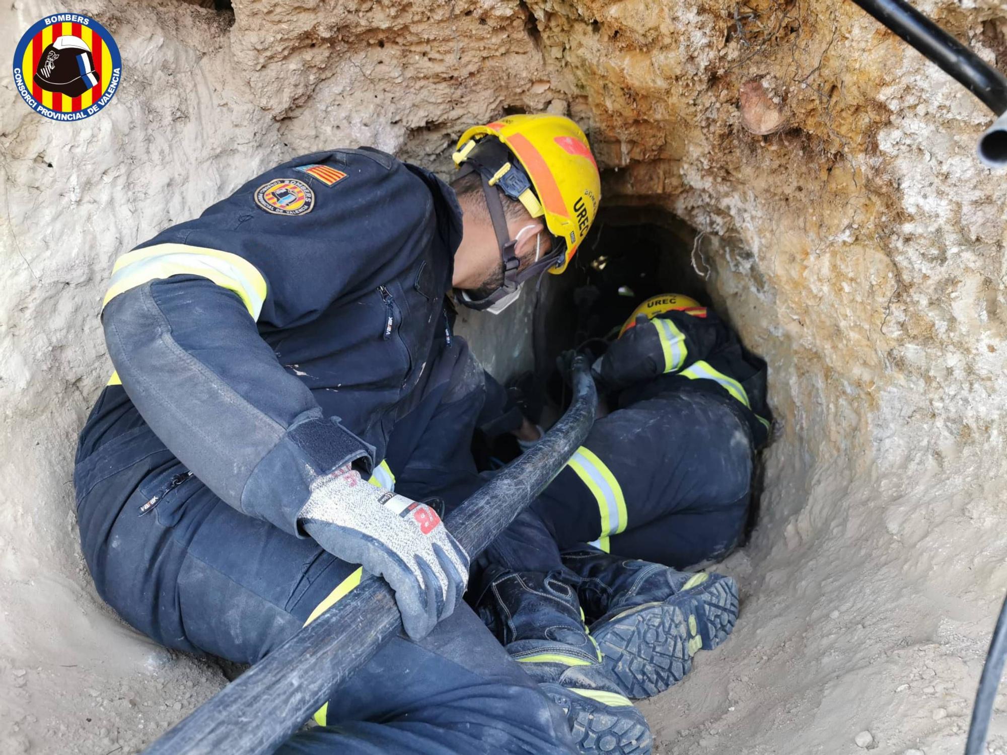 Los bomberos cavan un túnel para rescatar a una perrita atrapada durante horas en una madriguera