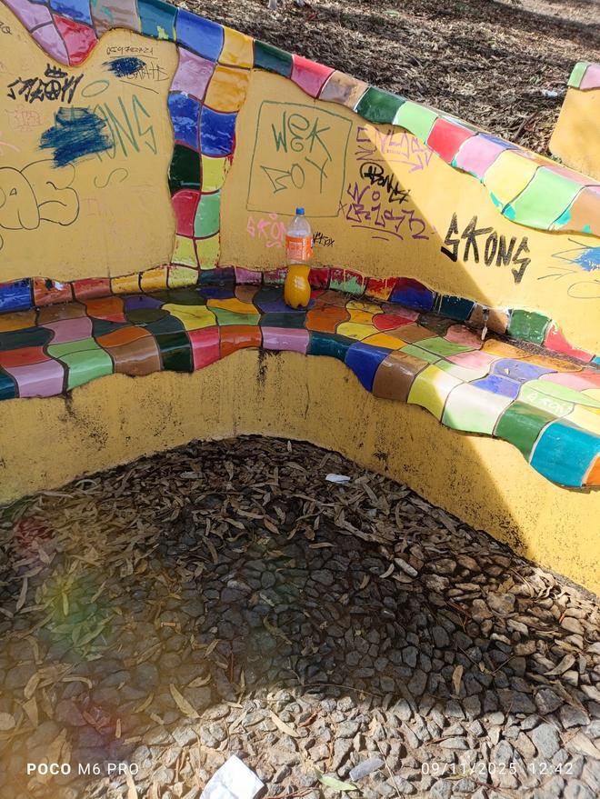 Galería | Consecuencias de los botellones en el Paseo Alto de Cáceres