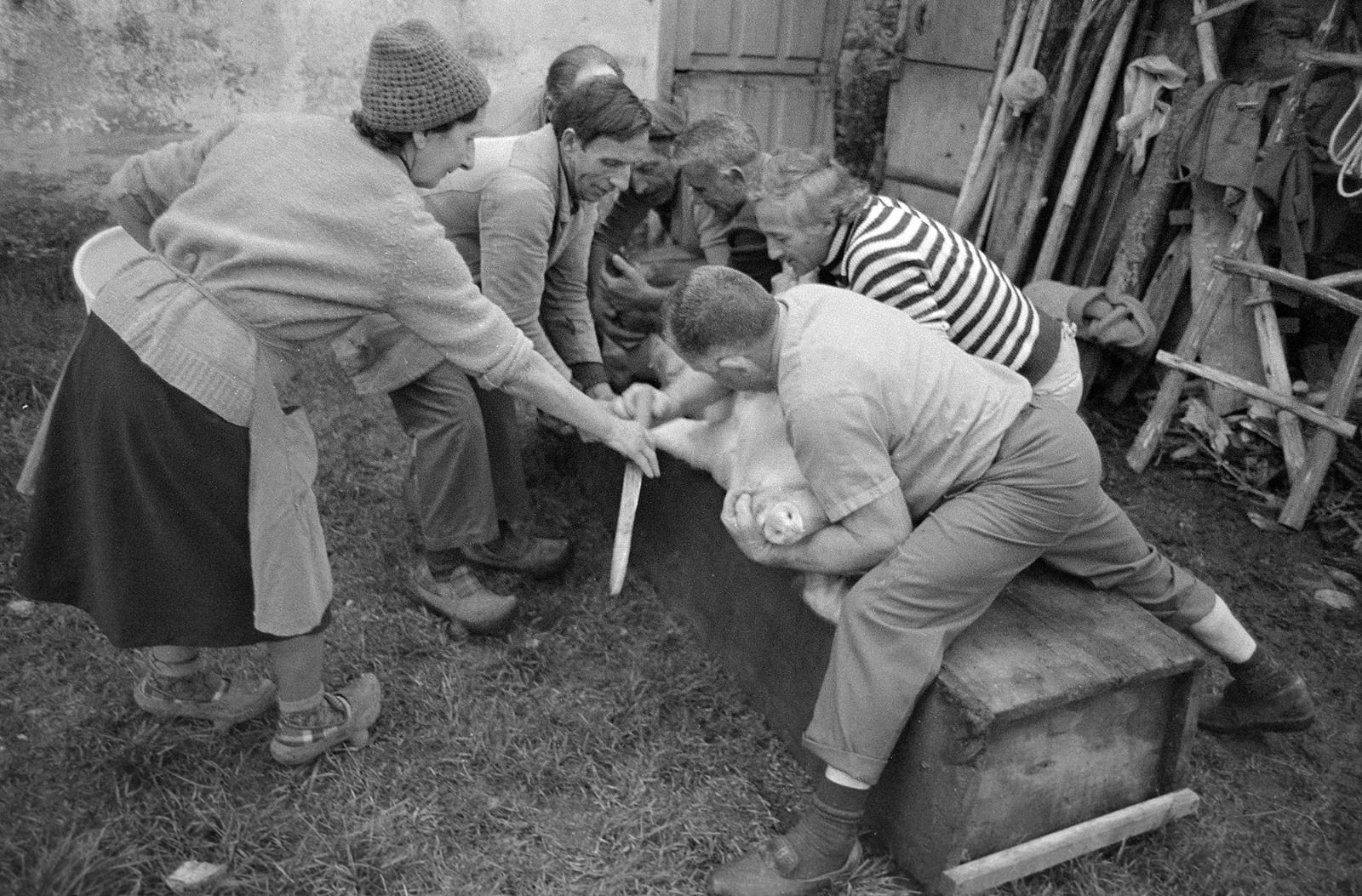 La magia de Villaviciosa y Asturias, en una instantánea: así fue el primer concurso fotográfico