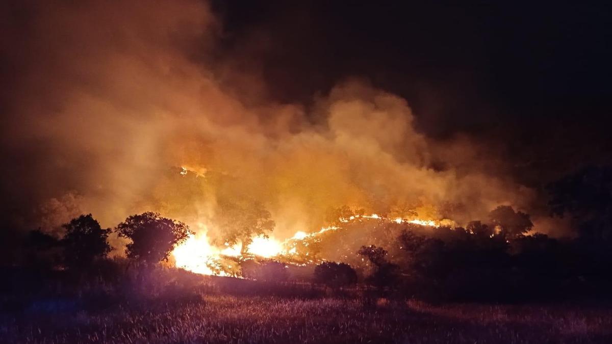 Imagen del incendio forestal en Pozoblanco, la pasada madrugada.