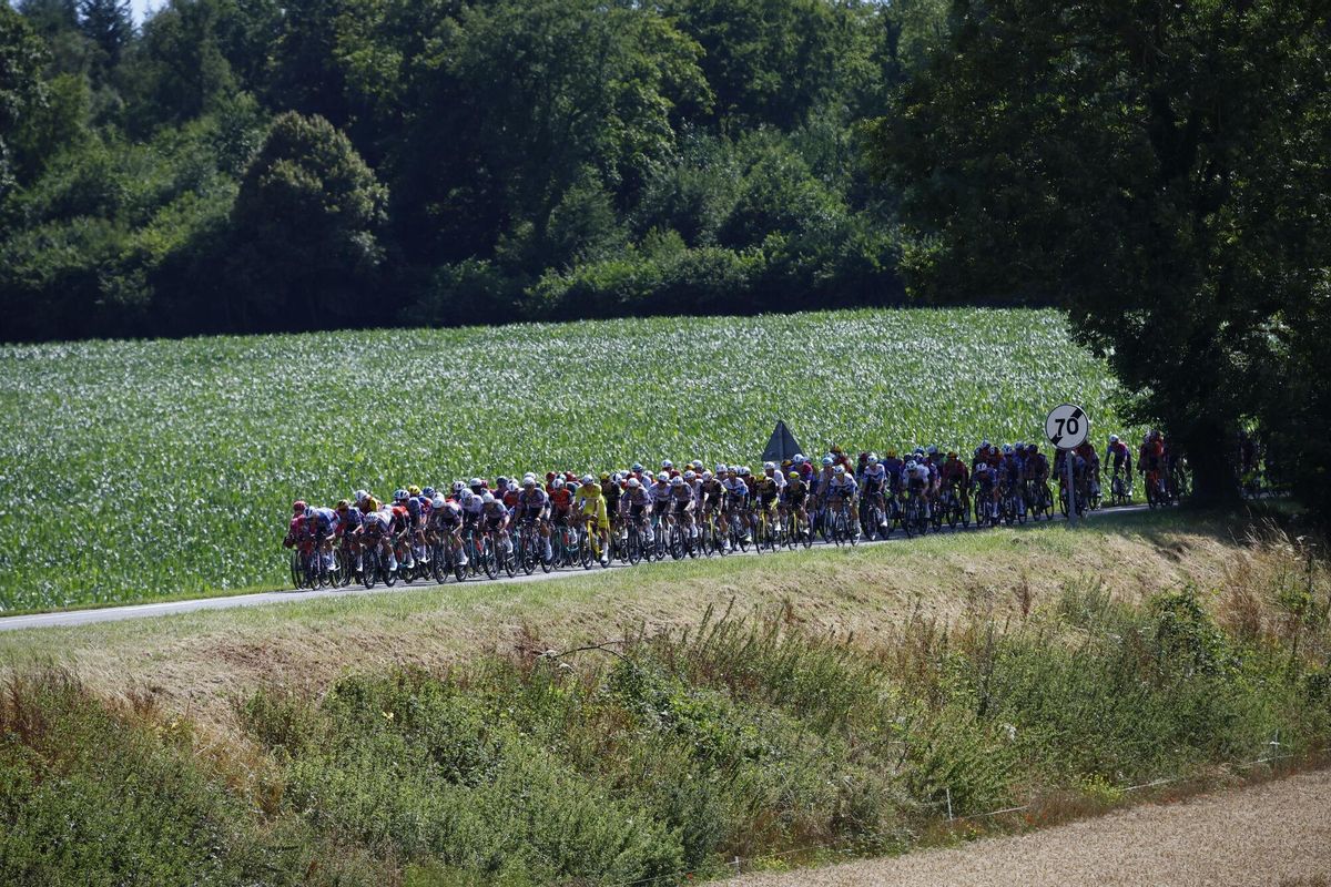 (France), 08/07/2025.- The peloton during the 4th stage of the Tour de France cycling race over 174.2km from Amiens to Rouen, France, 08 July 2025. (Ciclismo, Francia) EFE/EPA/MARTIN DIVISEK