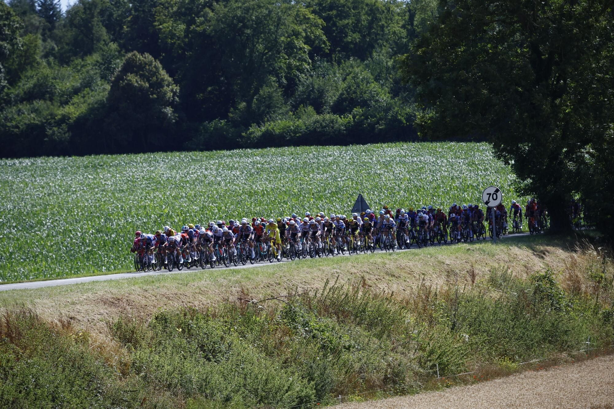 (France), 08/07/2025.- The peloton during the 4th stage of the Tour de France cycling race over 174.2km from Amiens to Rouen, France, 08 July 2025. (Ciclismo, Francia) EFE/EPA/MARTIN DIVISEK