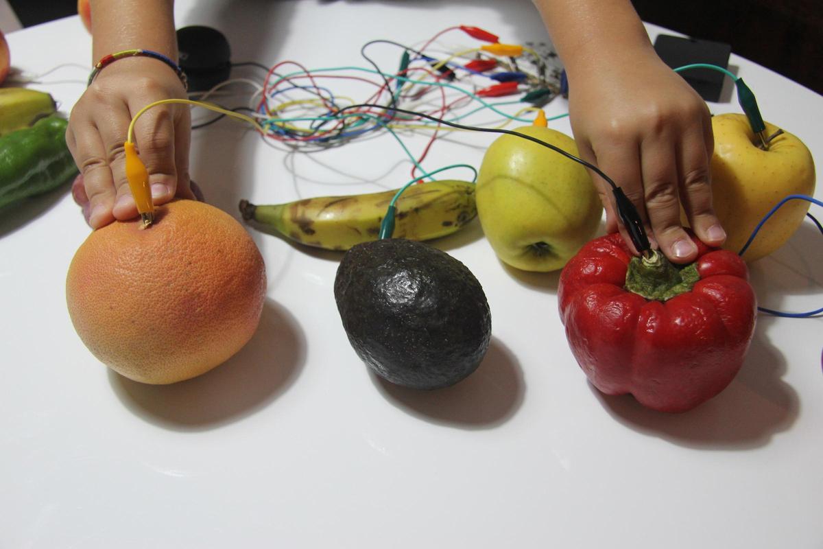 Vegetales electromusicales.